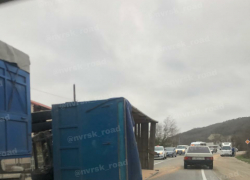 На ровном месте: «хомяк» прилег отдохнуть на трассе под Новороссийском