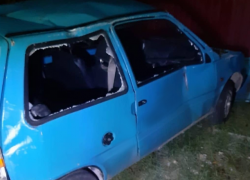  «Ока» насмерть сбила верблюда на трассе под Новороссийском 