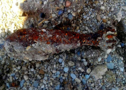 В Новороссийске нашли мины в десяти метрах от входа в гипермаркет