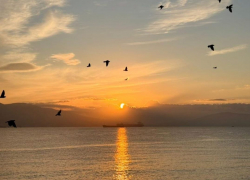 Гороскоп от «Блокнота»: Ракам быть осторожнее в общении, а Львы решат любой вопрос 