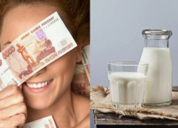 Молоко подорожает, потому что люди стали богаче: новороссийцам на заметку