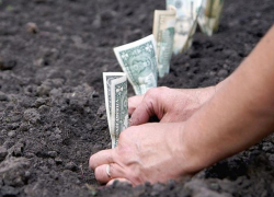 Мошенничество на 32 миллиона: новороссиец выдал себя за гендира акционерного общества