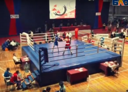 В Новороссийске состоится первенство Краснодарского края по боксу 