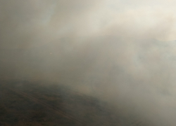 Часть Южного района Новороссийска на время затянуло дымом от пожара