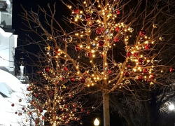 Елочная гирлянда ударила током маленькую девочку в Новороссийске