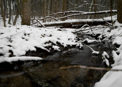 Прогноз погоды в Новороссийске обещает снег