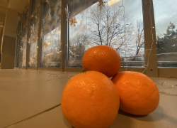 Мандарины подешевели: как выбрать новогодний фрукт и сколько съесть