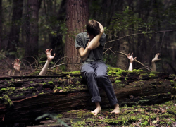 Прогулка по лесу закончилась уголовной статьей для жителя Новороссийск