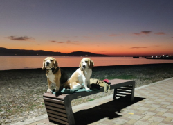 Гороскоп от «Блокнота»: у Водолеев романтика, а Весы захотят сменить обстановку