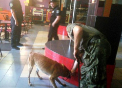 Новороссиец заработал тюремный срок  за ложный звонок о теракте