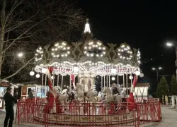 508 тысяч туристов за каникулы: Кубань подвела итоги новогоднего отдыха