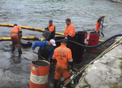 Спустя пять лет нефтекомпанию в Новороссийске обязали выплатить ущерб за мазут в Чёрном море 