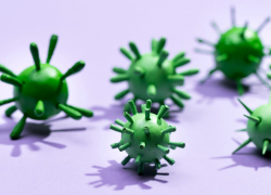 Заболеваемость “ковидом” подскочила почти на 30% за неделю — а что в Новороссийске