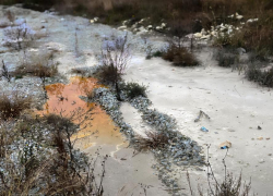 Свалка загрязнила почву в Геленджике: хром, натрий и кальций отравил территорию