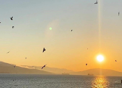 Синоптик предсказал августовскую погоду на Кубани — ждать ли новороссийцам жары