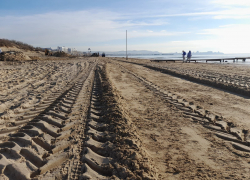 На дне Черного моря в районе Анапы не нашли следов мазута 