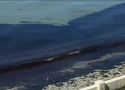 Ситуация в Туапсе: море — в мазуте, берег — в чёрная полоса