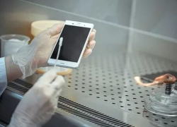 Телефон, как переносчик инфекции: новороссийцев призвали дезинфицировать гаджеты