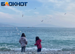 В Новороссийске потеплело: о погоде на сегодня, 7 января