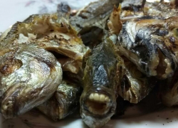 Морских карасей с человеческими зубами поймали рыбаки 
