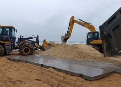 Волонтеры собрали тонны пальмового масла на черноморском побережье