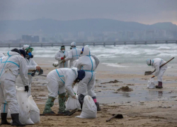 Повторение катастрофы: берег моря в Новороссийске покрылся мазутом после атаки ВСУ