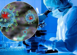 "Российские" штаммы коронавируса: стоит ли бояться новороссийцам