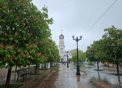 Погода в Новороссийске: после дождика в четверг