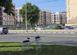 Гороскоп от «Блокнота»: Девам быть внимательнее на работе, а Львам брать ответственность на себя