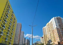 Это обязанность: застройщикам Новороссийска объяснили, как надо озеленять город