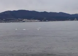 В Черном море у берегов Анапы и Новороссийска произошло землетрясение 