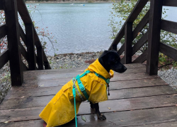 Погода в Новороссийске: весь день дождь, ветер и пасмурно 