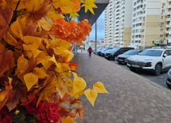 Гороскоп от «Блокнота»: как Ракам, Скорпионам, Рыбам и другим знакам зодиака отдохнуть 