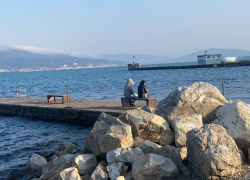 Гороскоп: Овны ощутят замедление, а Тельцы четко поймут свои цели