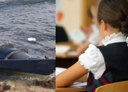 Атака БЭК в Новороссийске: школы, сады и общественный транспорт работают