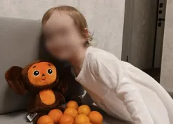 Чебурашка исполняет мечты: маленькое чудо в большом городе