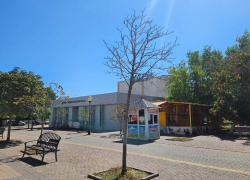 Каштаны на бульваре Черняховского «лысеют»: новороссийцы бьют тревогу 