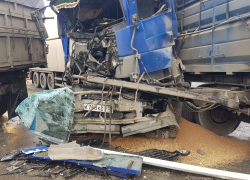 ДТП с участием большегрузов: стали известны подробности серьезной аварии под Новороссийском