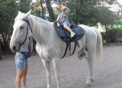 - Хромая лошадь с изранеными ногами катает детей в парке Ленина! - паникуют новороссийцы