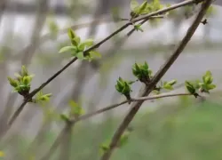 Гороскоп от «Блокнота»: Девам следует сосредоточиться, а Стрельцов тянет к приключениям 