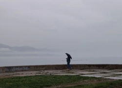 Овнам звезды порекомендовали не спешить, а Близнецам – фильтровать информацию