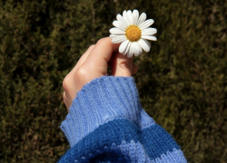 Гороскоп от «Блокнота»: у Близнецов возможны перемены в личной жизни  