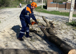 Опасные ветра Новороссийска — служба спасения устраняет последствия