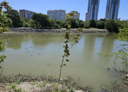 Экологический ущерб при работах на «Южных прудах» Новороссийска оценен в 8 миллионов рублей