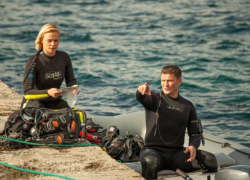 Дельфины будут палить в воздух из «табельного» в одном из яхт-клубов Новороссийска