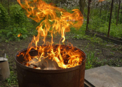 Новороссийцам вновь ограничили посещение леса — напоминаем о наказании