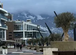 Почти 600 тысяч рублей в год: набережную готовят к круглогодичному уходу за оливами и фотиниями