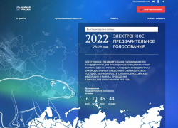 Как новороссийцам разобраться на сайте предварительного голосования «Единой России»