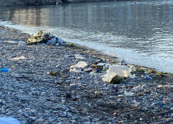 Новороссийцы в ужасе: Волочаевский пляж тонет в мусоре