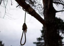 Тело повешенного мужчины найдено в лесополосе под Новороссийском